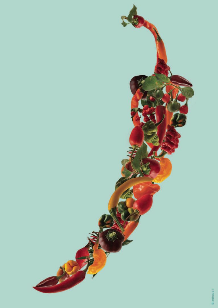 Chili