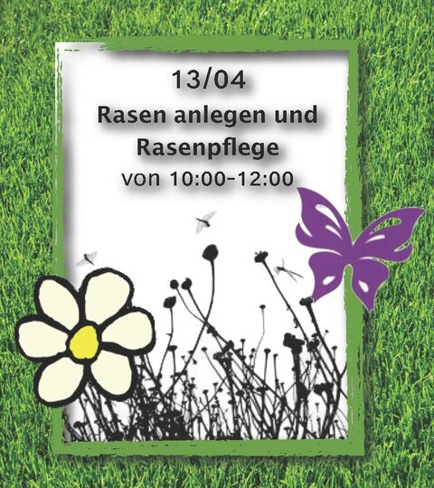 Rasen anlegen und Rasenpflege