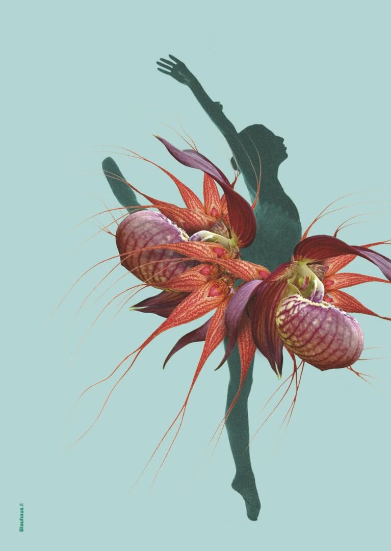 22esime giornate internazionali delle orchidee