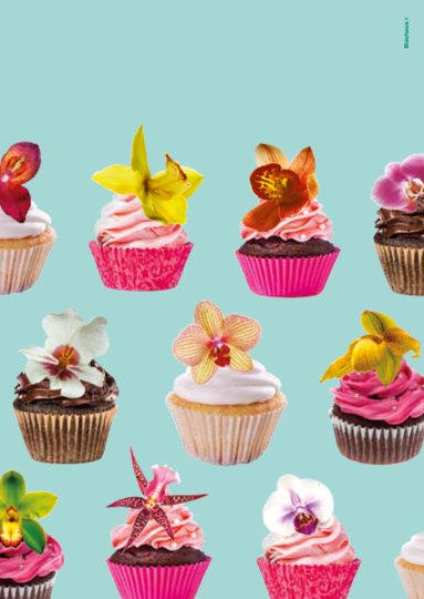 21. Internationale Orchideen-Tage