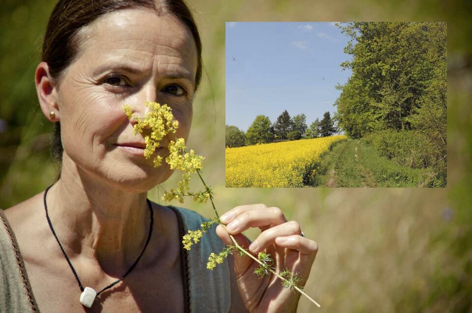 Delikatessen und Arzneimittel am Wegesrand