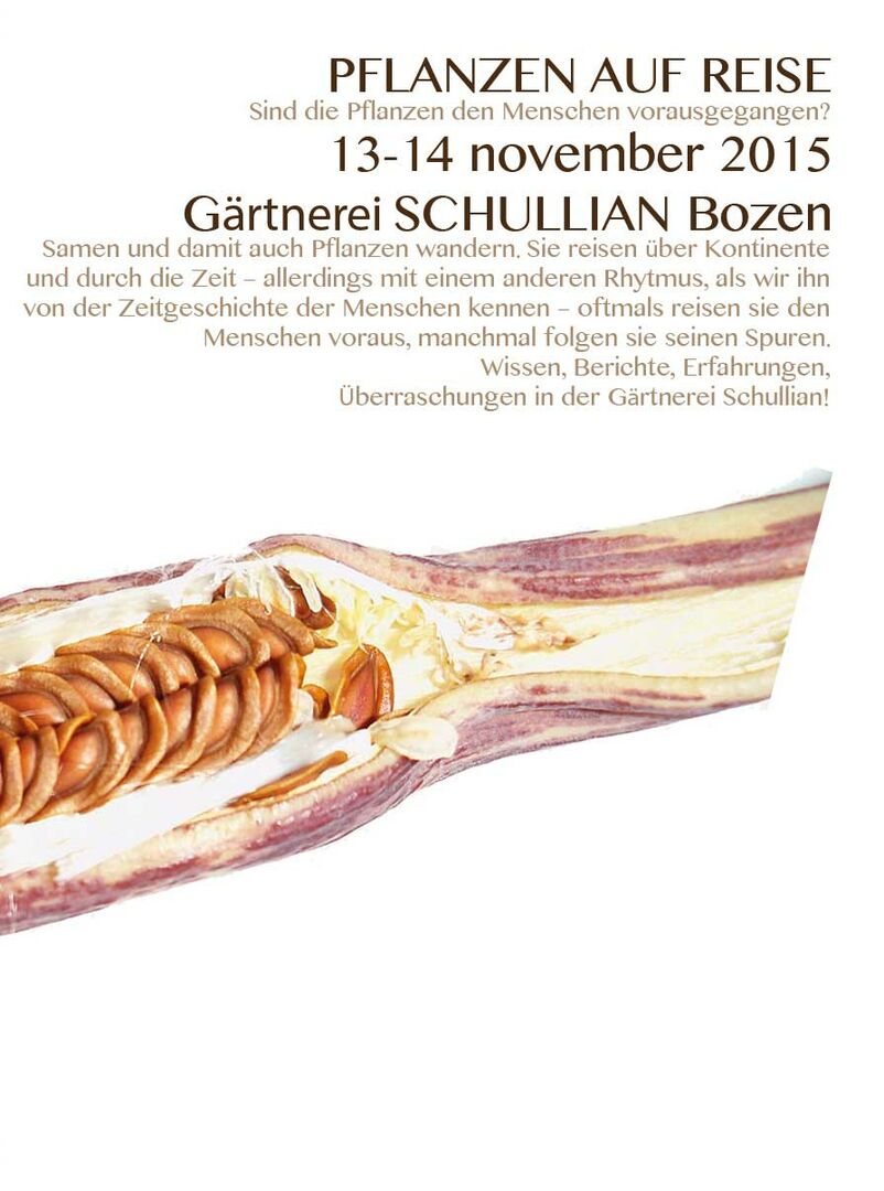 Begegnungen