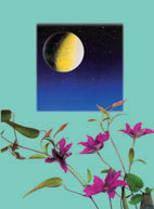 Johanna Paungger&nbsp;