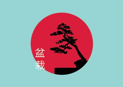 Bonsai- Ausstellung