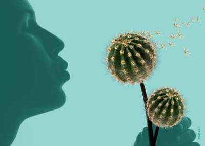 Kaktus und Sukkulenten