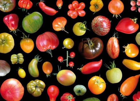 Il gusto fresco d‘estate