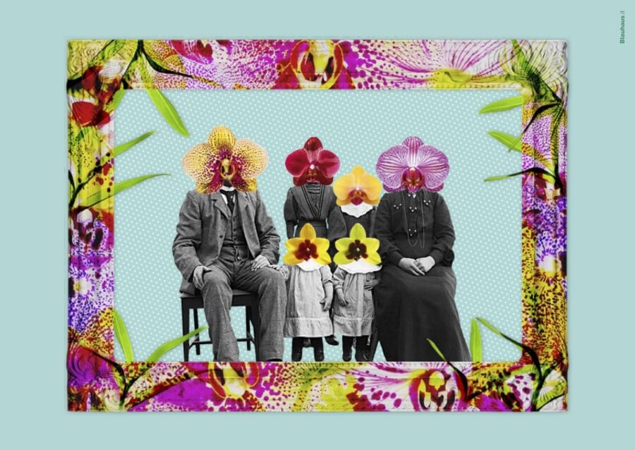 24. Orchideen-Tage karten cover